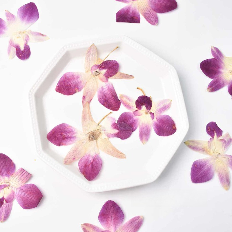 Resin Craft Ideas - 4 ชิ้น, ดอกกล้วยไม้ผีเสื้อแท้แบบกดอัด, งานศิลปะเรซิ่น DIY, สมุดภาพ,