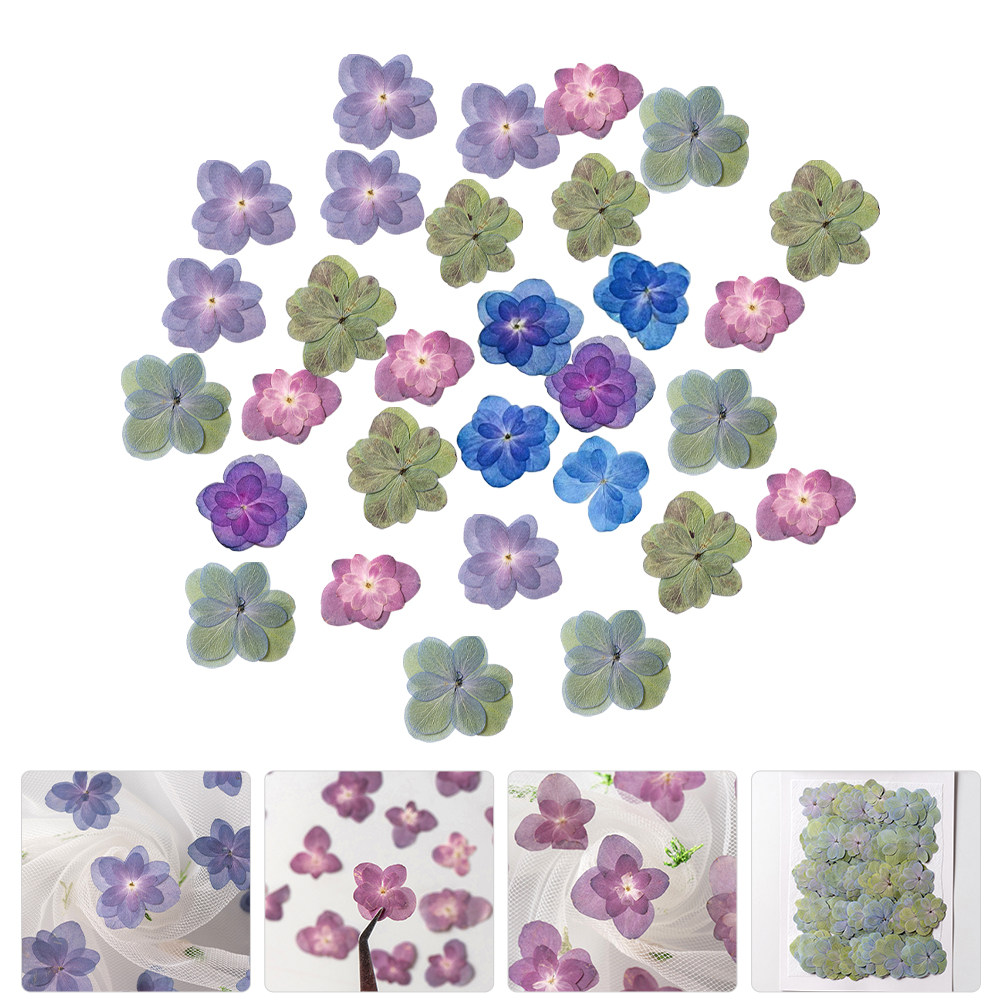 Dried Flower Bulk - ดอกไม้แห้งอัดหลากสี 30 ชิ้น สำหรับงานเรซิ่น อุปกรณ์งานฝีมือ DIY