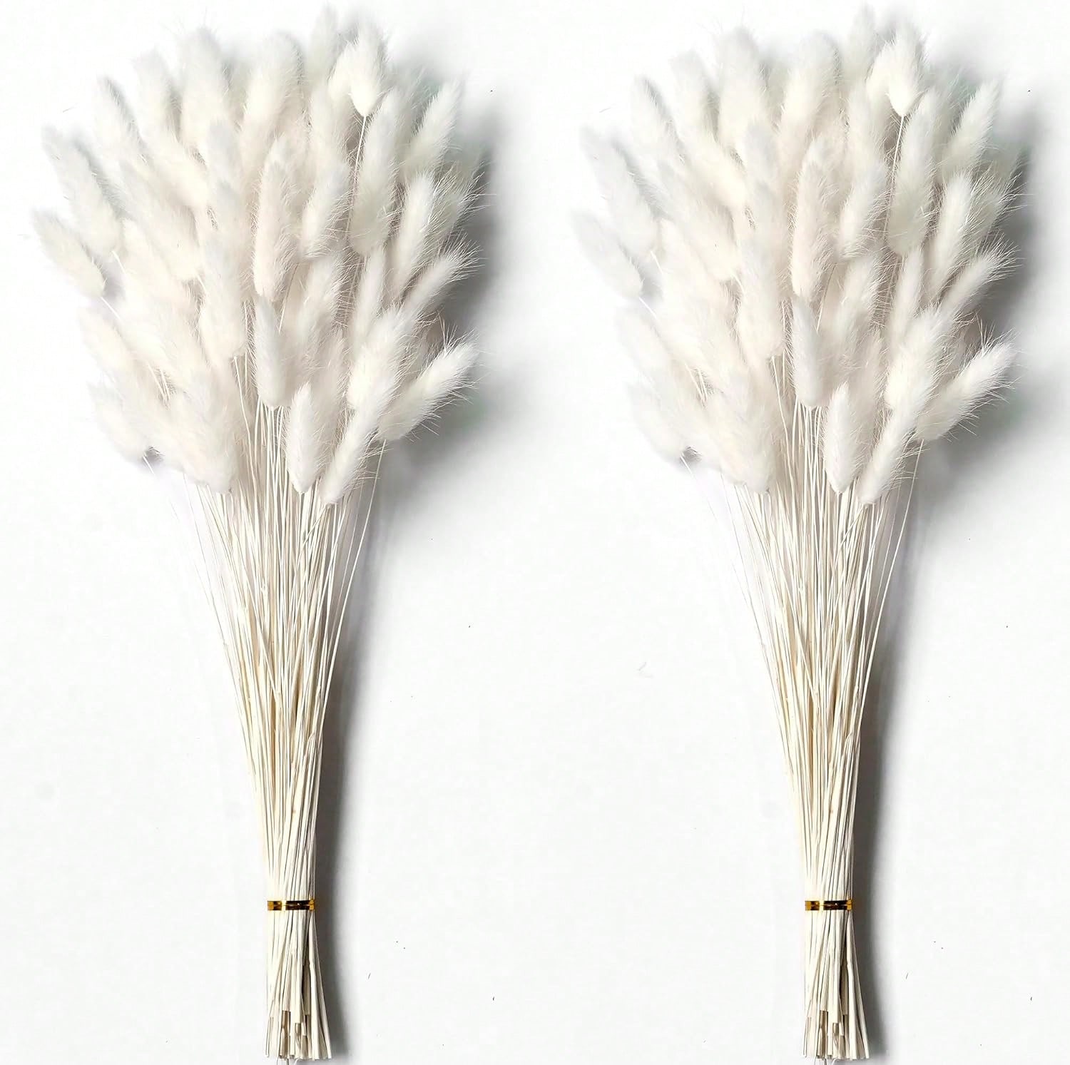 Dried Flower Bulk - 120 PCS แห้ง Pampas Grass Decor