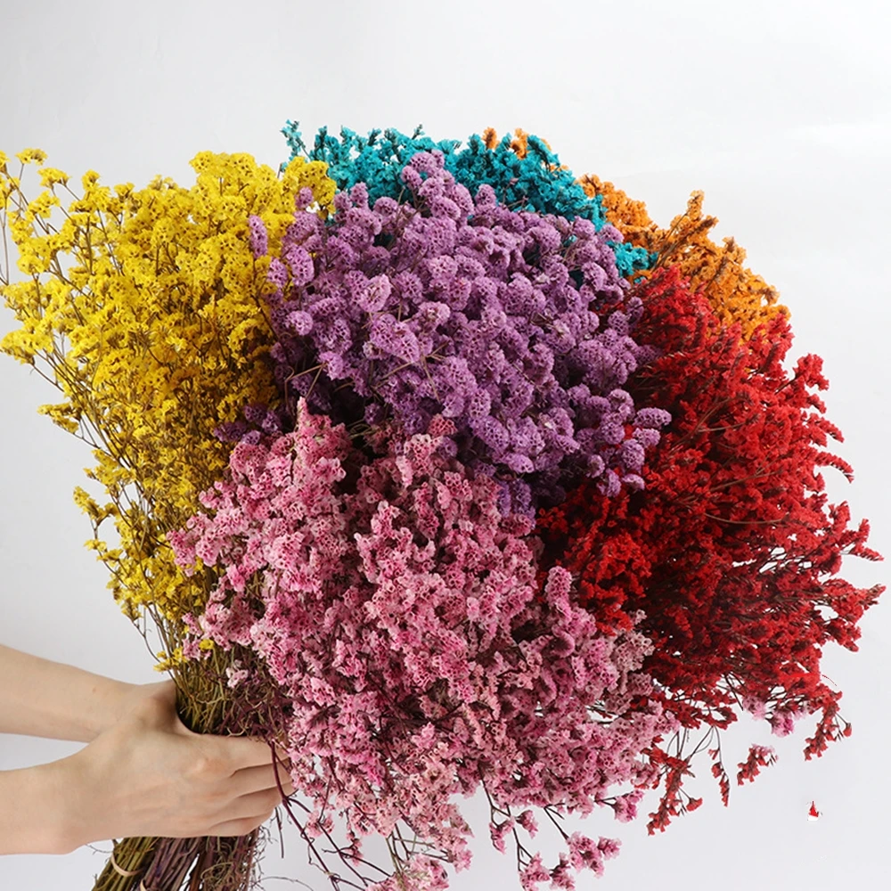 จริงคริสตัลดอกไม้แห้ง,ธรรมชาติ - Dried Flower Bulk บทวิจารณ์และราคา