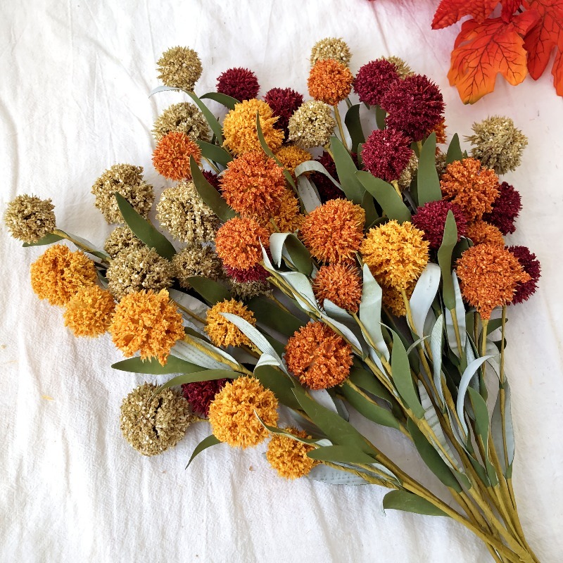 ดอกเดซี่แห้งขนาด 42 ซม. ดอกไม้ - Dried Flower Bulk บทวิจารณ์และราคา