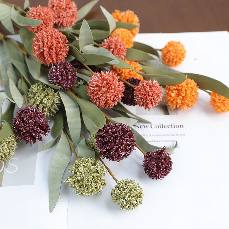 ดอกเดซี่แห้งขนาด 42 ซม. ดอกไม้ - Dried Flower Bulk บทวิจารณ์และราคา
