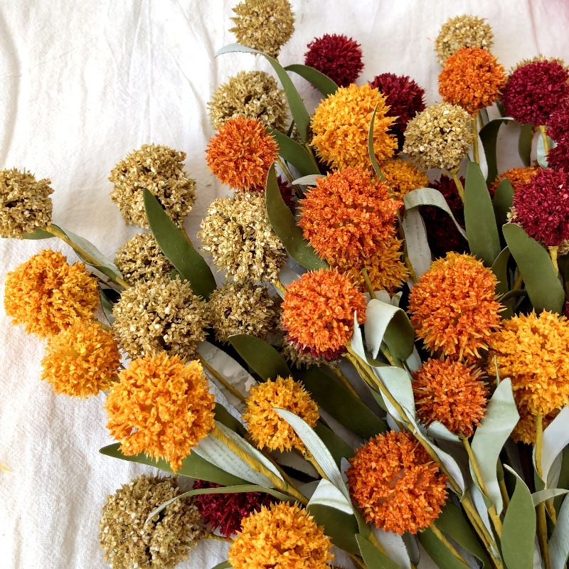 ดอกเดซี่แห้งขนาด 42 ซม. ดอกไม้ - Dried Flower Bulk บทวิจารณ์และราคา