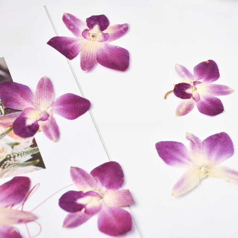 4 ชิ้น, ดอกกล้วยไม้ผีเสื้อแท้แ - Resin Craft Ideas บทวิจารณ์และราคา
