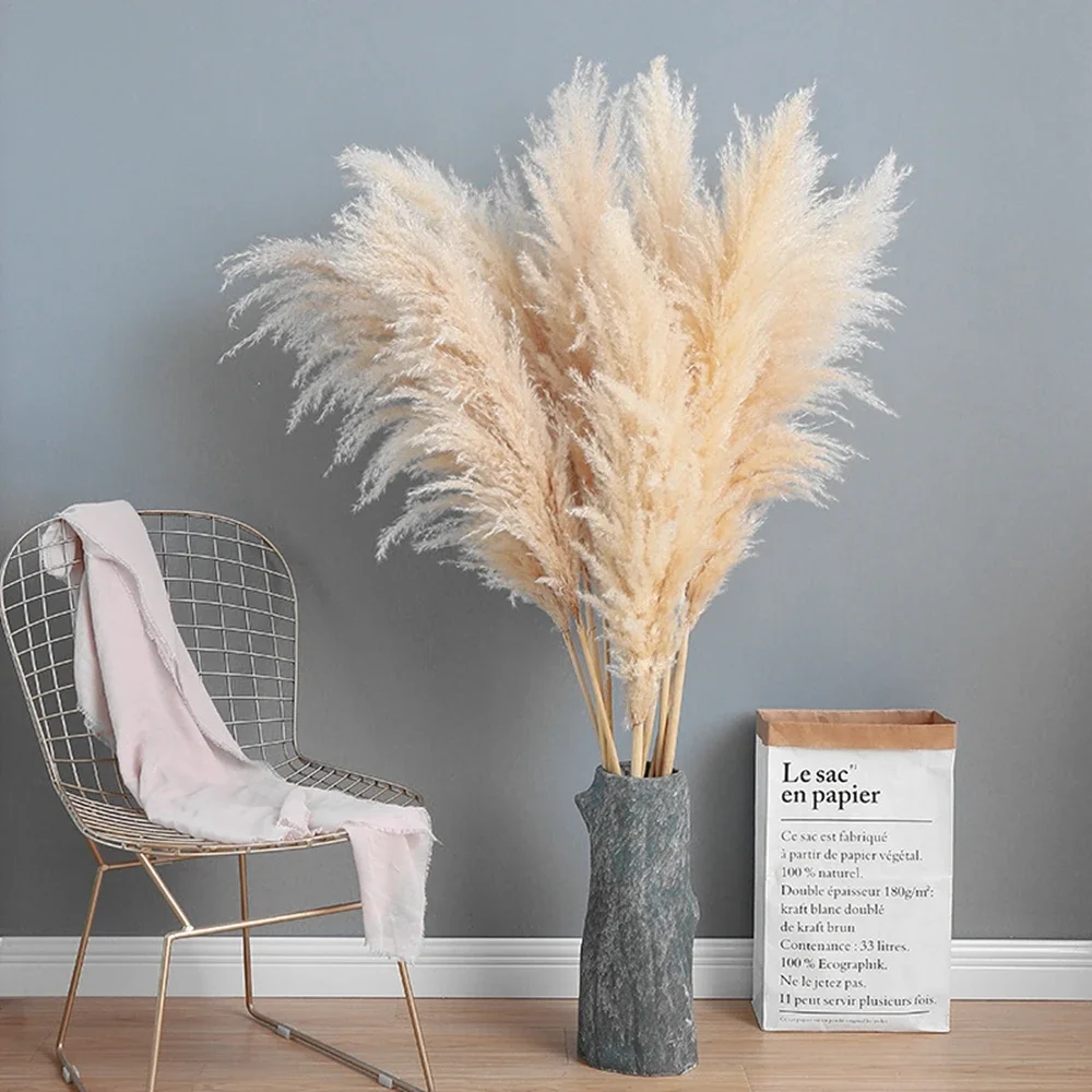 120 ซม.-130 ซม.ปุยขนาดใหญ่ Pam - Dried Flower Bulk บทวิจารณ์และราคา