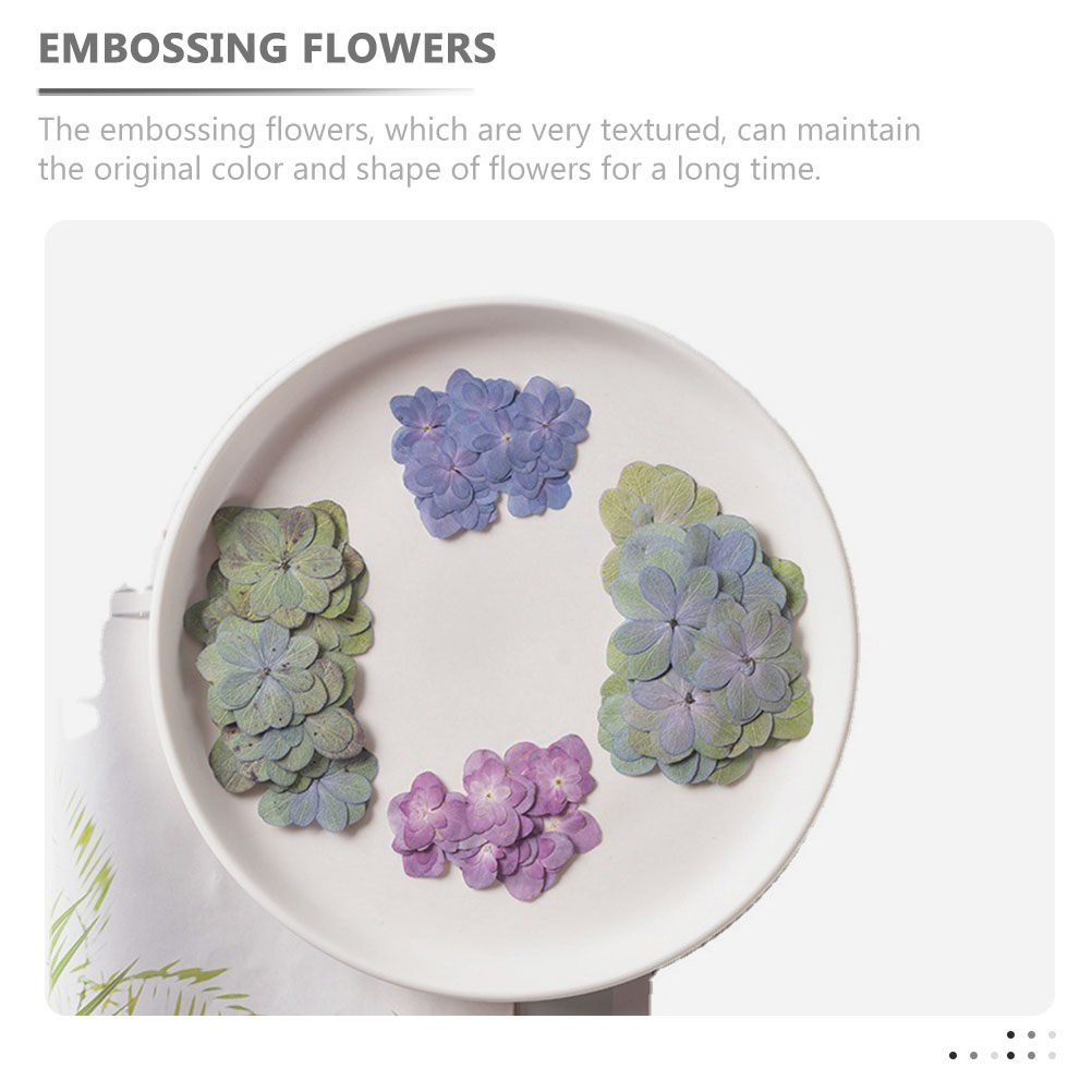 ดอกไม้แห้งอัดหลากสี 30 ชิ้น สำ - Dried Flower Bulk บทวิจารณ์และราคา