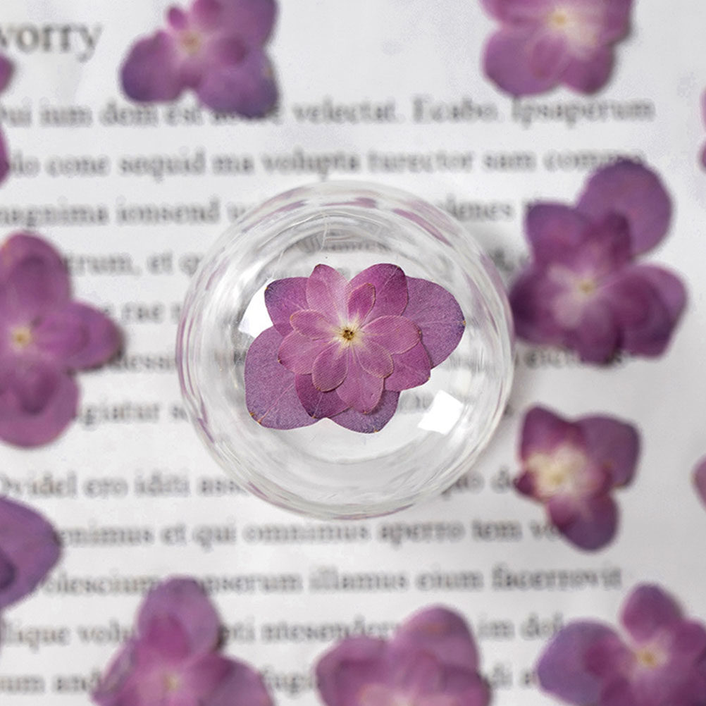 ดอกไม้แห้งอัดหลากสี 30 ชิ้น สำ - Dried Flower Bulk บทวิจารณ์และราคา