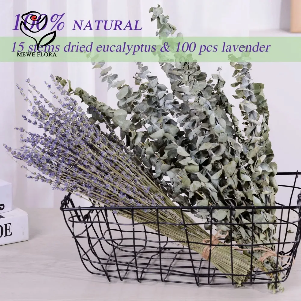 30 ชิ้นดอกไม้แห้ง Preserved Eu - Dried Flower Bulk บทวิจารณ์และราคา