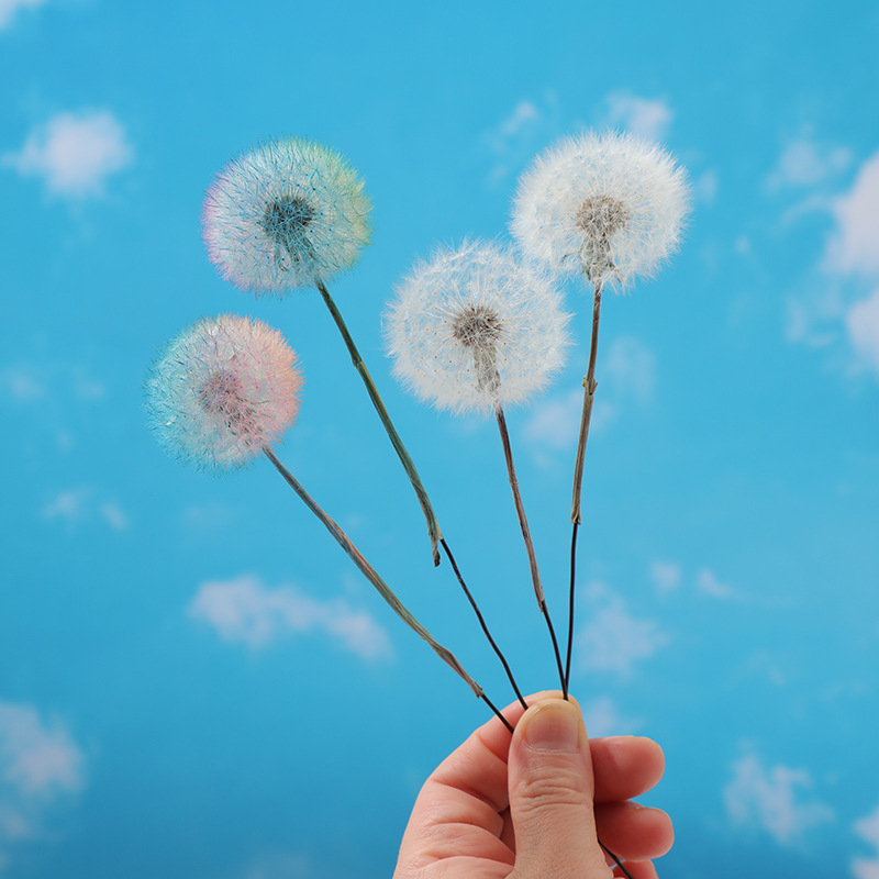 ชุดงานฝีมือเรซินอีพ็อกซี่ DIY  - Resin Crafts บทวิจารณ์และราคา