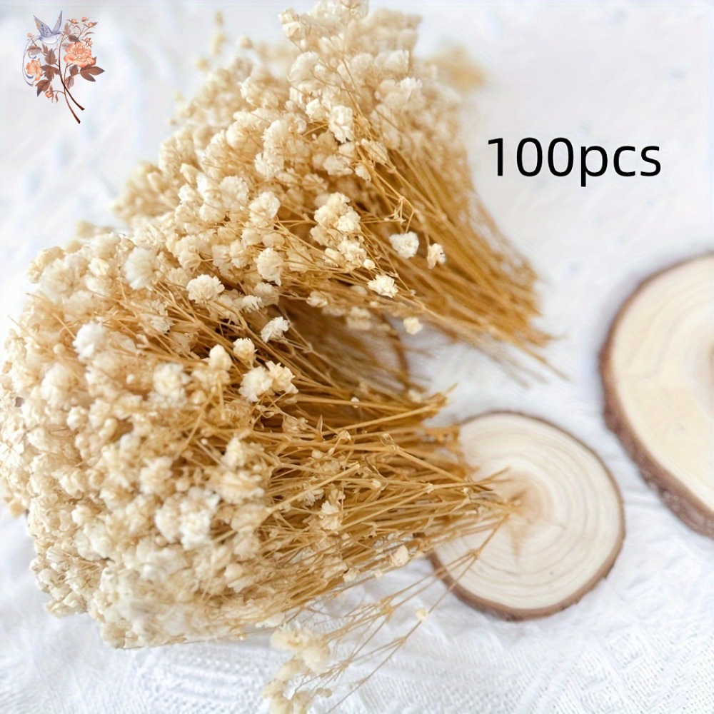 ดอกยิปโซฟิล่าแห้งขนาดเล็ก 100  - Dried Flower Bulk บทวิจารณ์และราคา