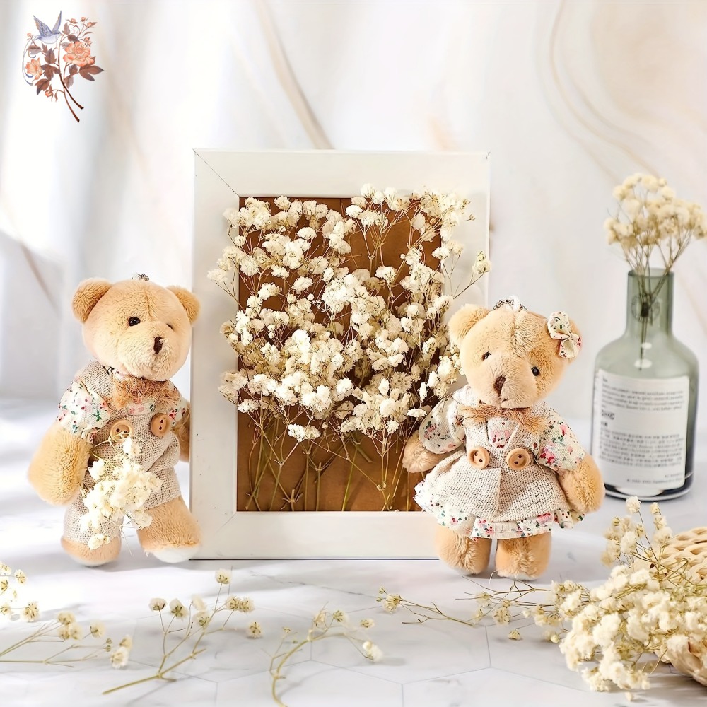 ดอกยิปโซฟิล่าแห้งขนาดเล็ก 100  - Dried Flower Bulk บทวิจารณ์และราคา